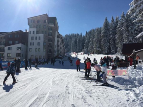 Отель Stenata Huge Ski To Door Apartment  Пампорово